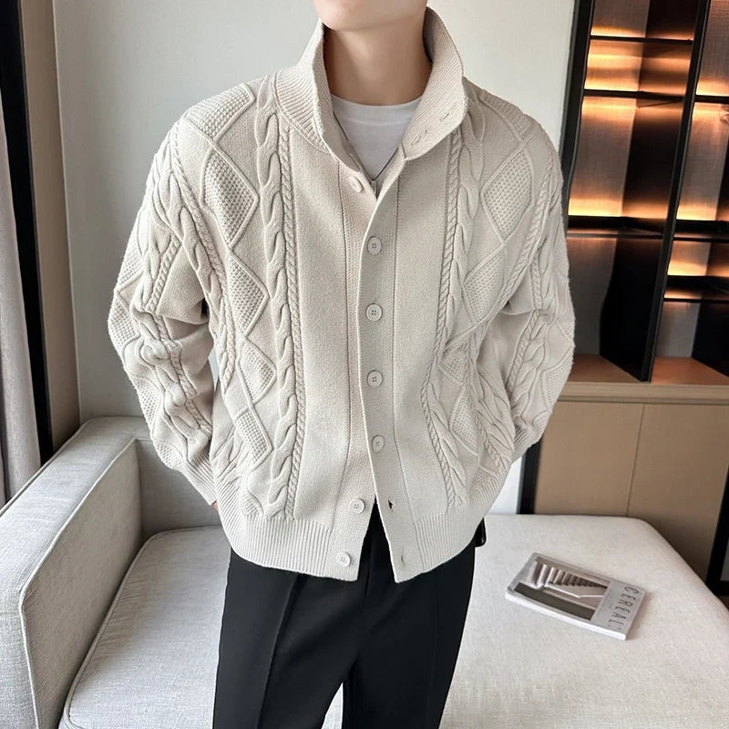 Samuel™ | Cárdigan de punto trenzado con cuello alto