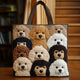 Cachorros adorables