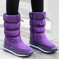 Morado